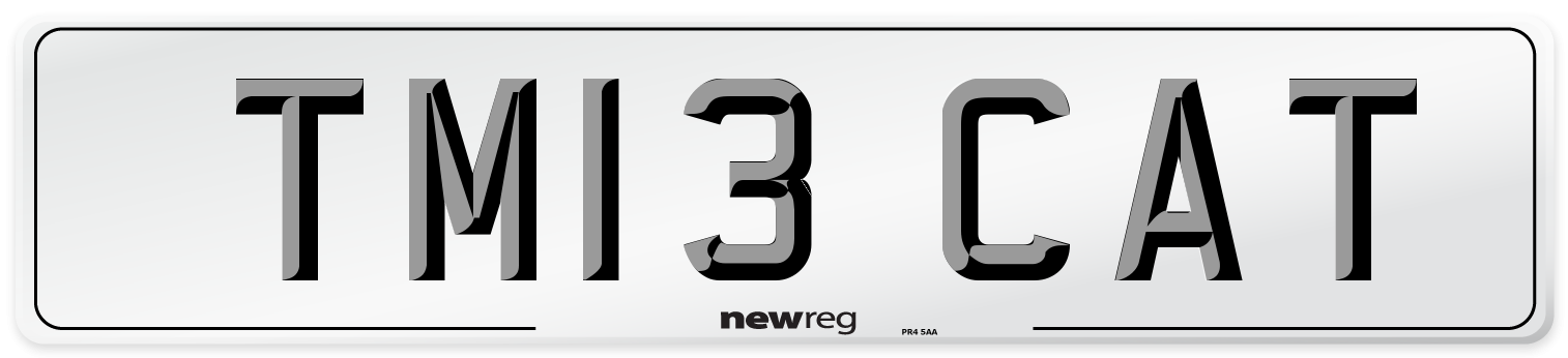 TM13 CAT Number Plate from New Reg
